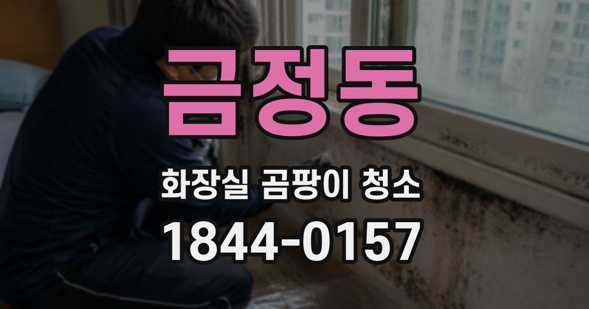 금정동 화장실 곰팡이 청소