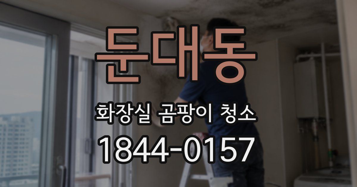 둔대동 화장실 곰팡이 청소