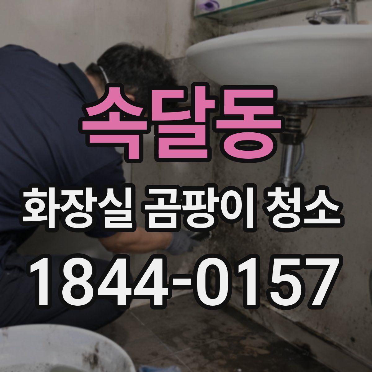 속달동 화장실 곰팡이 청소