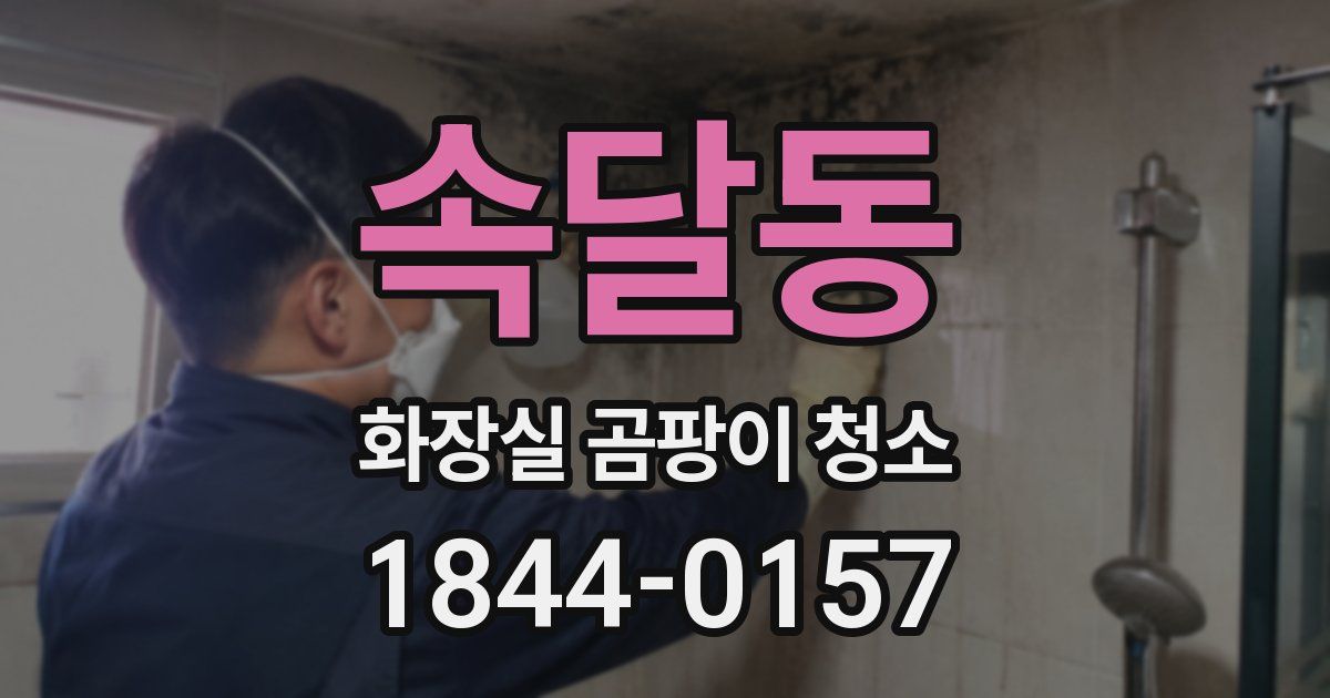 속달동 화장실 곰팡이 청소