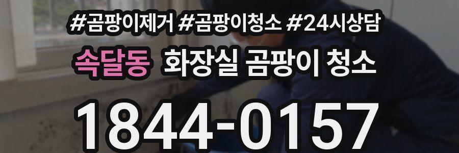 속달동 화장실 곰팡이 청소