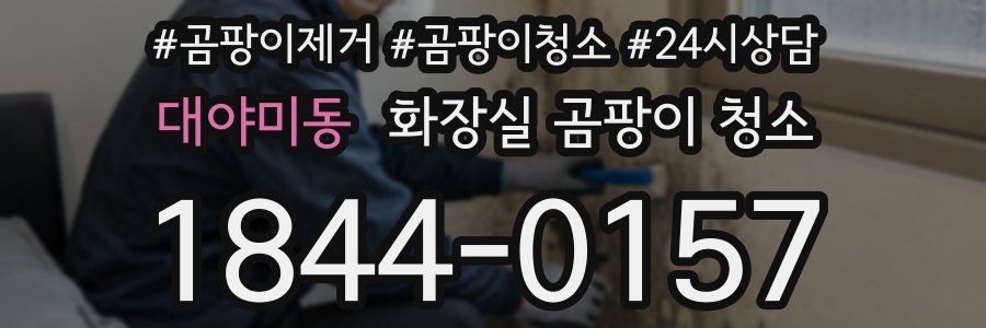 대야미동 화장실 곰팡이 청소