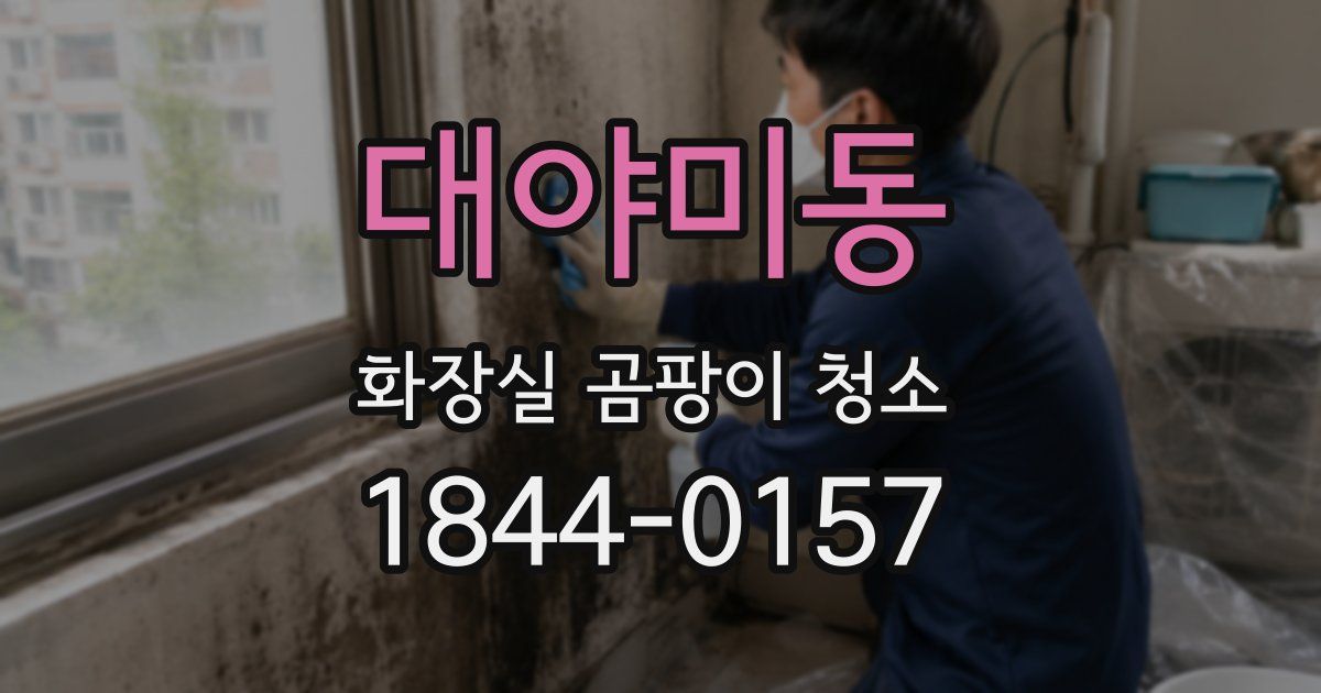 대야미동 화장실 곰팡이 청소