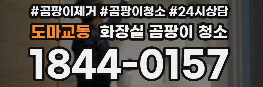 도마교동 화장실 곰팡이 청소