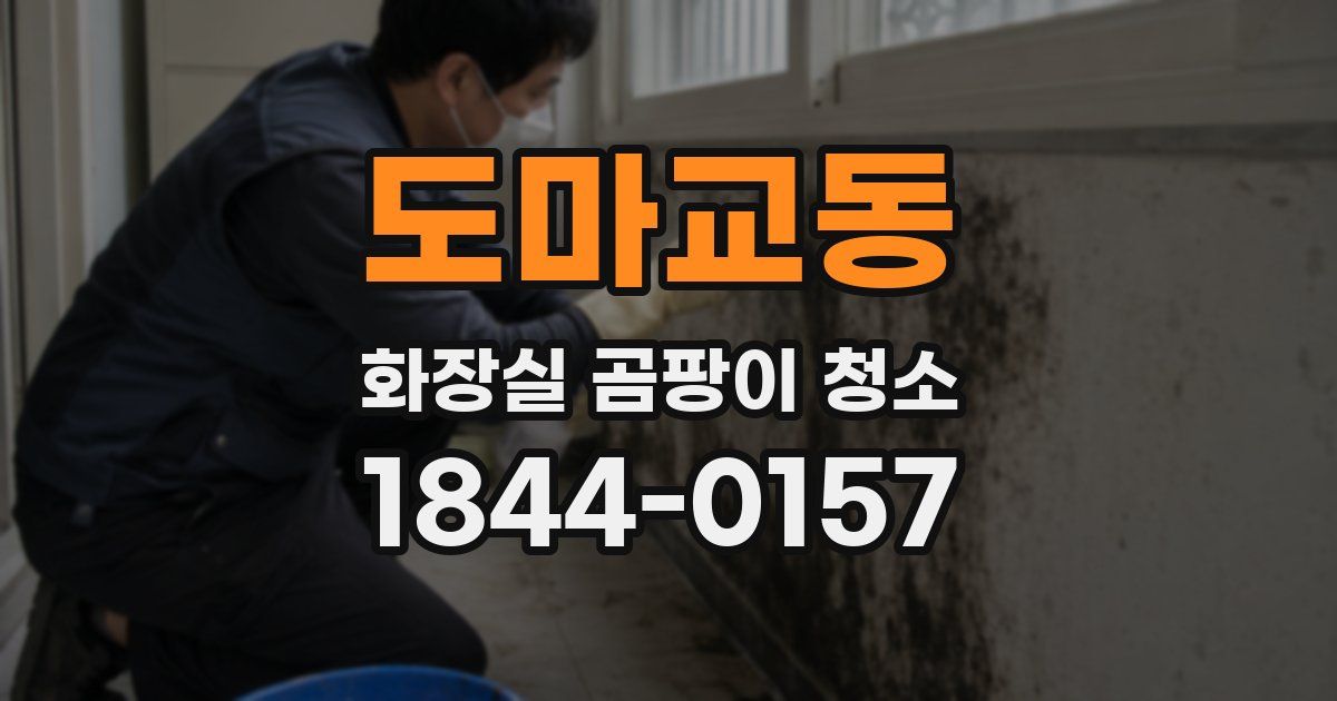 도마교동 화장실 곰팡이 청소