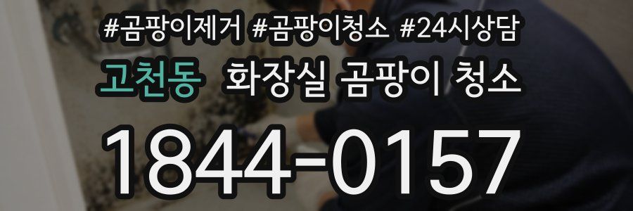 고천동 화장실 곰팡이 청소