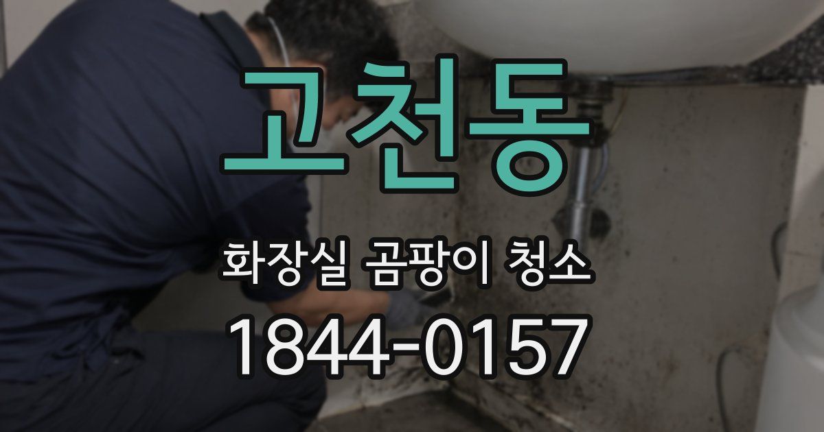 고천동 화장실 곰팡이 청소