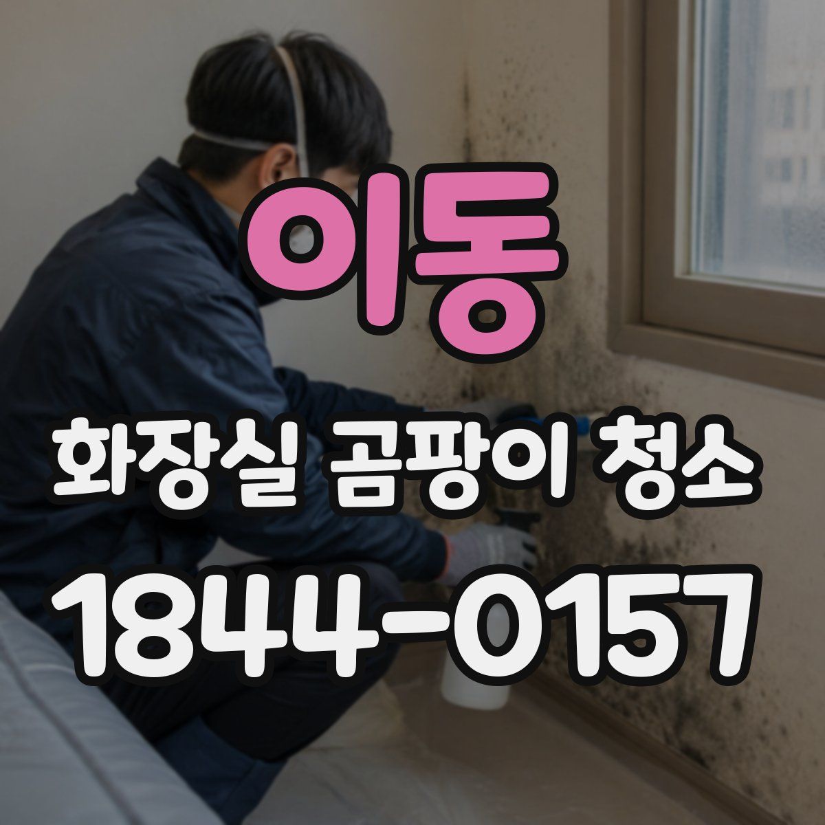 이동 화장실 곰팡이 청소