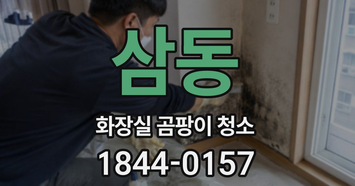 삼동 화장실 곰팡이 청소