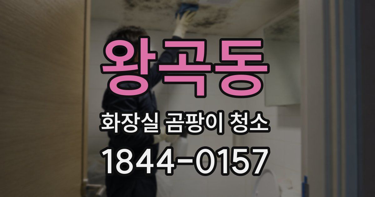 왕곡동 화장실 곰팡이 청소