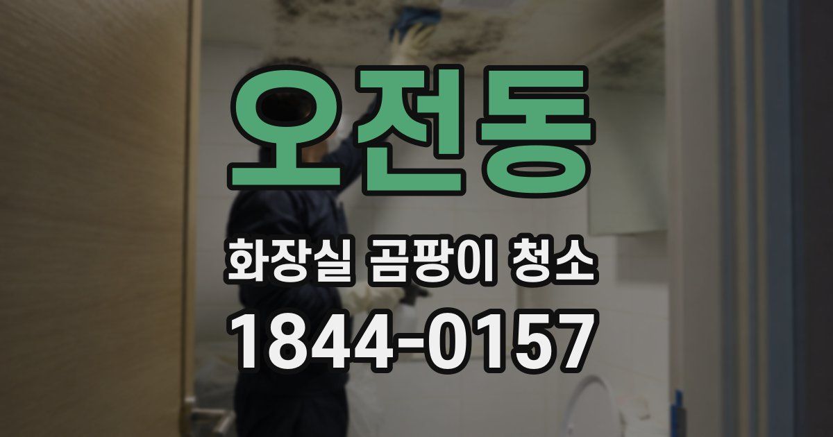 오전동 화장실 곰팡이 청소