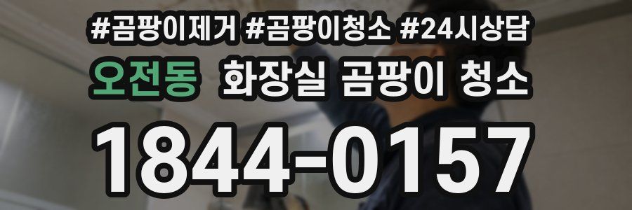 오전동 화장실 곰팡이 청소