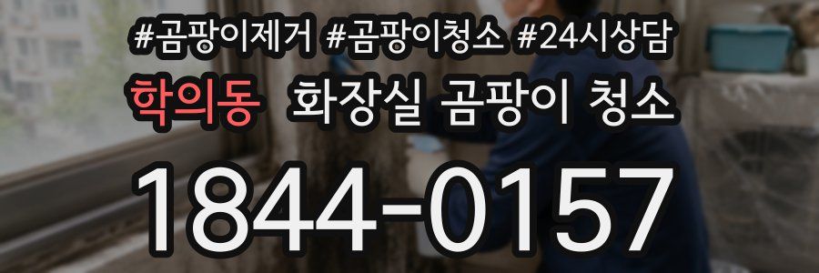 학의동 화장실 곰팡이 청소