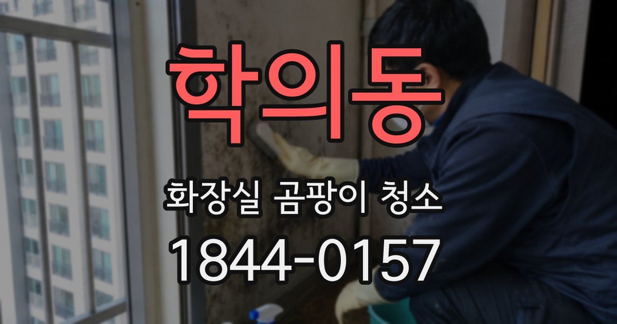 학의동 화장실 곰팡이 청소