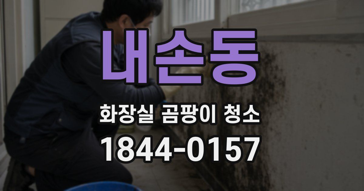 내손동 화장실 곰팡이 청소