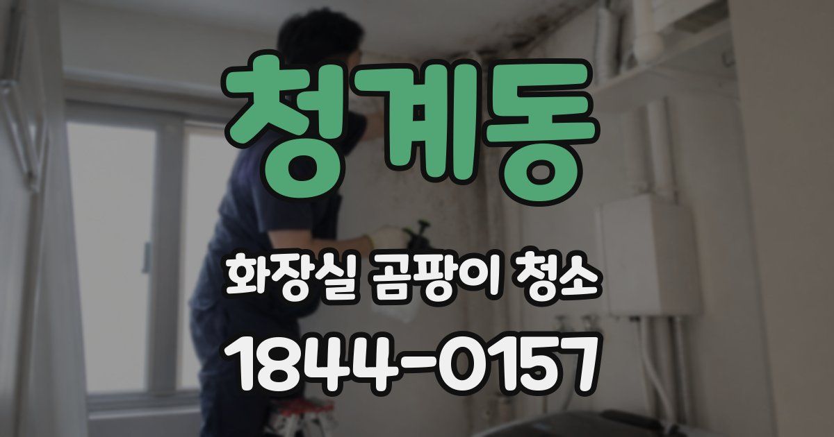 청계동 화장실 곰팡이 청소