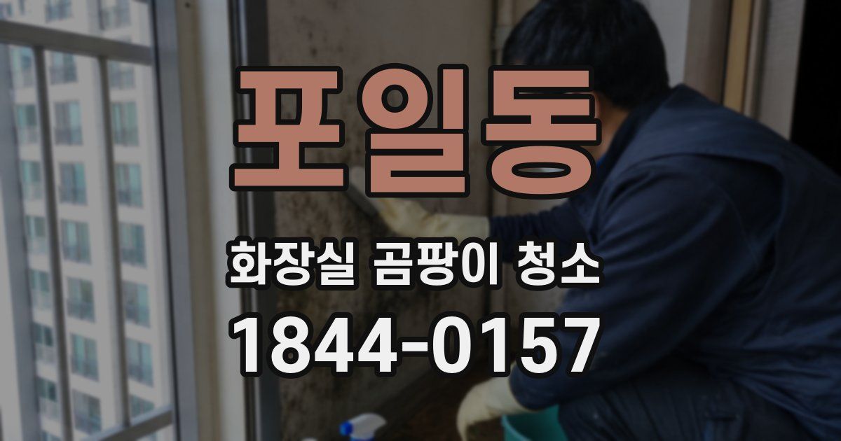 포일동 화장실 곰팡이 청소
