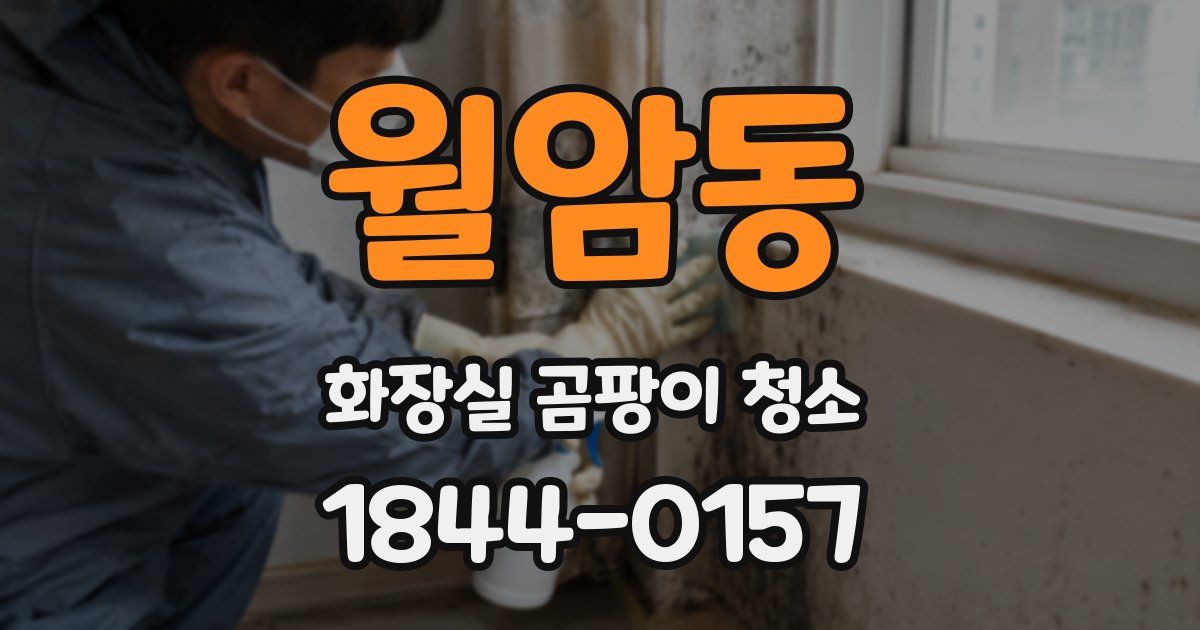 월암동 화장실 곰팡이 청소