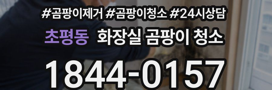 초평동 화장실 곰팡이 청소