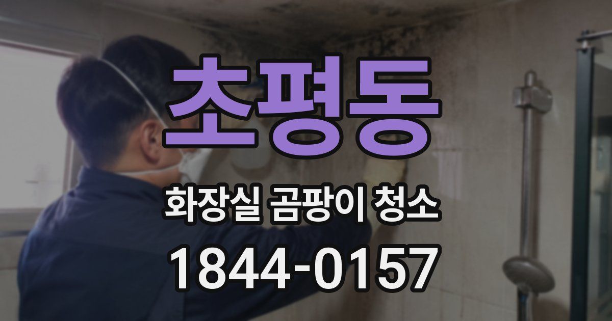 초평동 화장실 곰팡이 청소