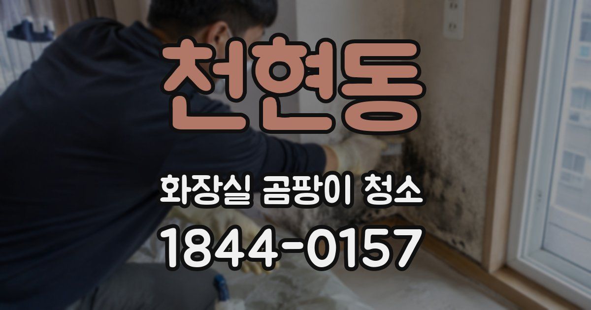 천현동 화장실 곰팡이 청소