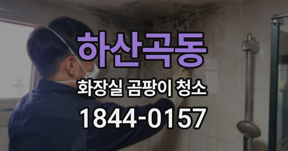 하산곡동 화장실 곰팡이 청소