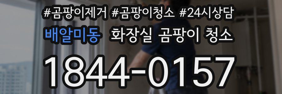 배알미동 화장실 곰팡이 청소
