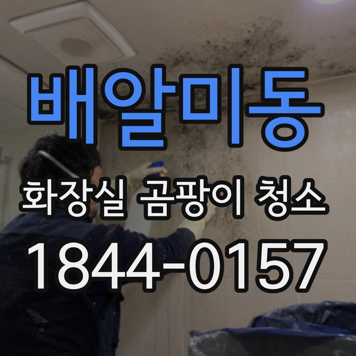 배알미동 화장실 곰팡이 청소