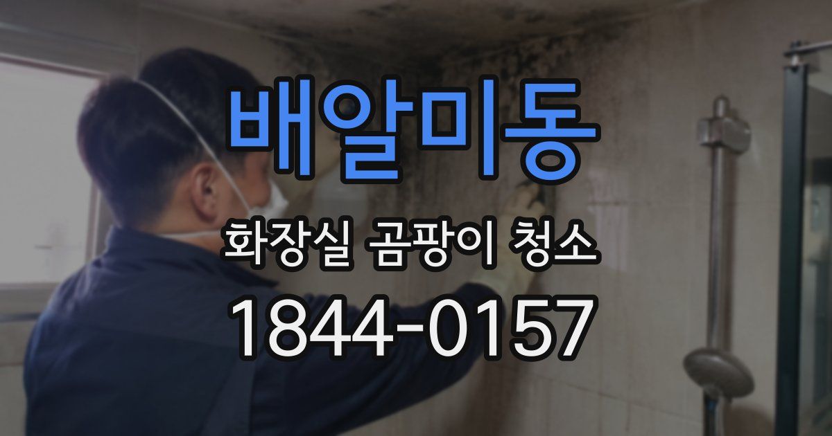 배알미동 화장실 곰팡이 청소