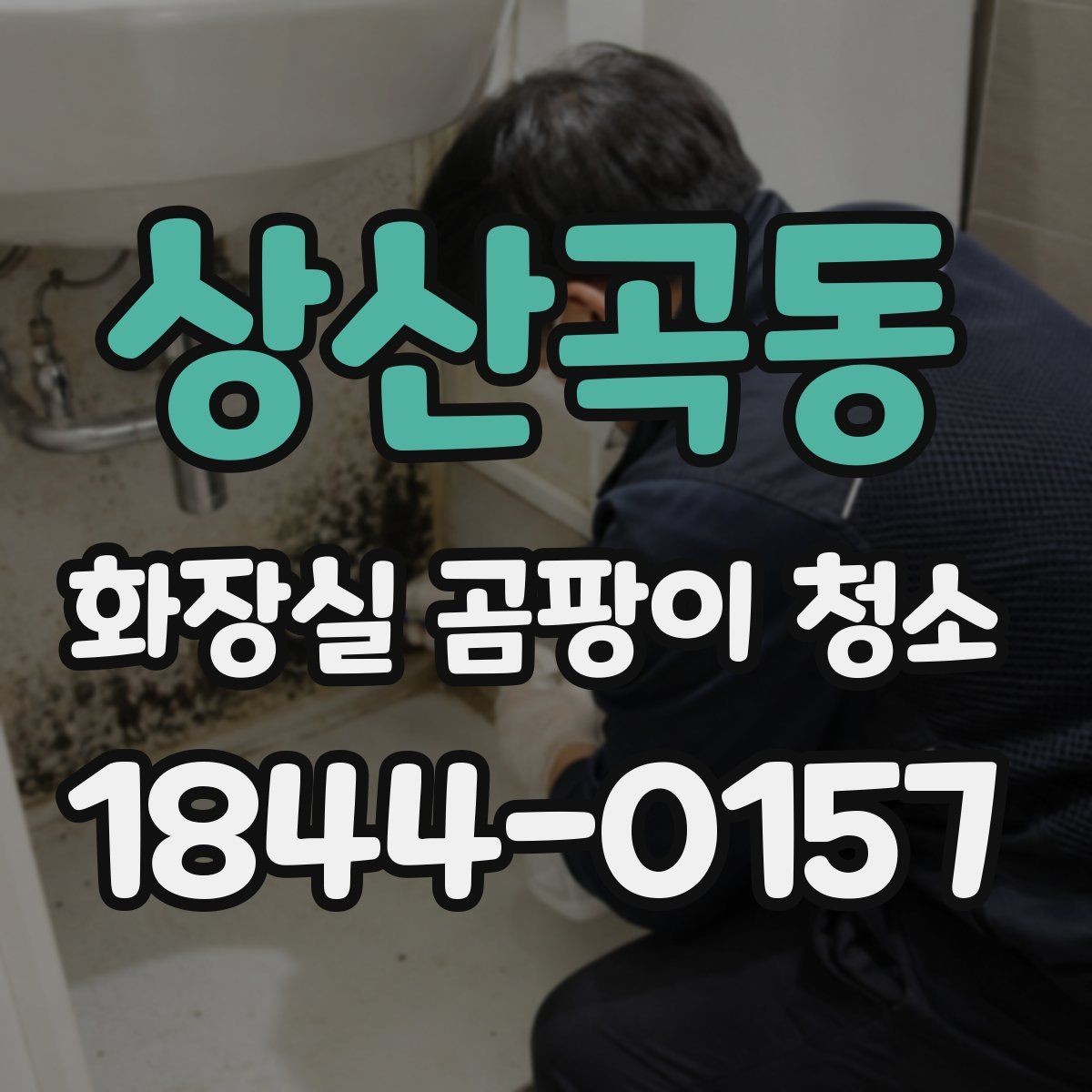상산곡동 화장실 곰팡이 청소 세제별로 남는 냄새와 마감 차이