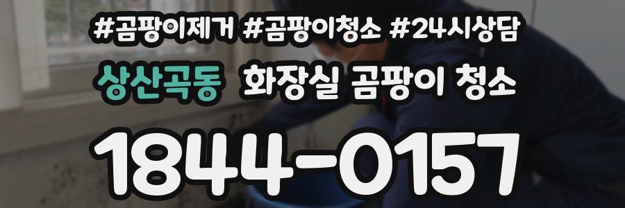 상산곡동 화장실 곰팡이 청소