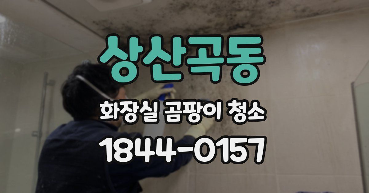 상산곡동 화장실 곰팡이 청소