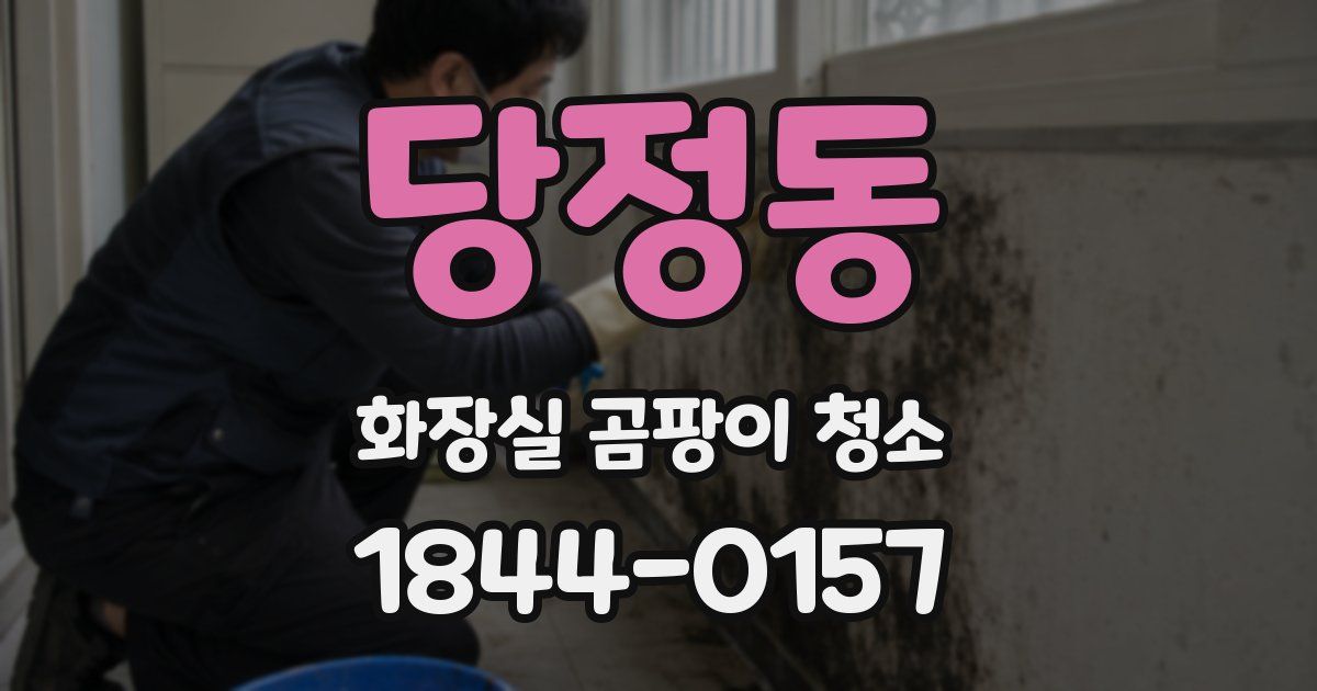 당정동 화장실 곰팡이 청소