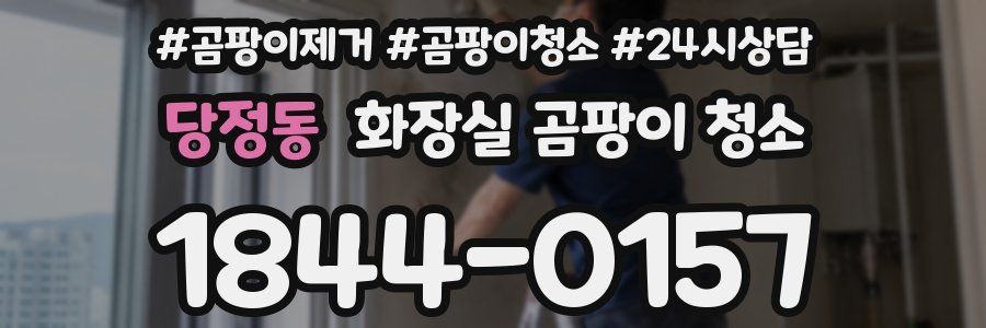 당정동 화장실 곰팡이 청소