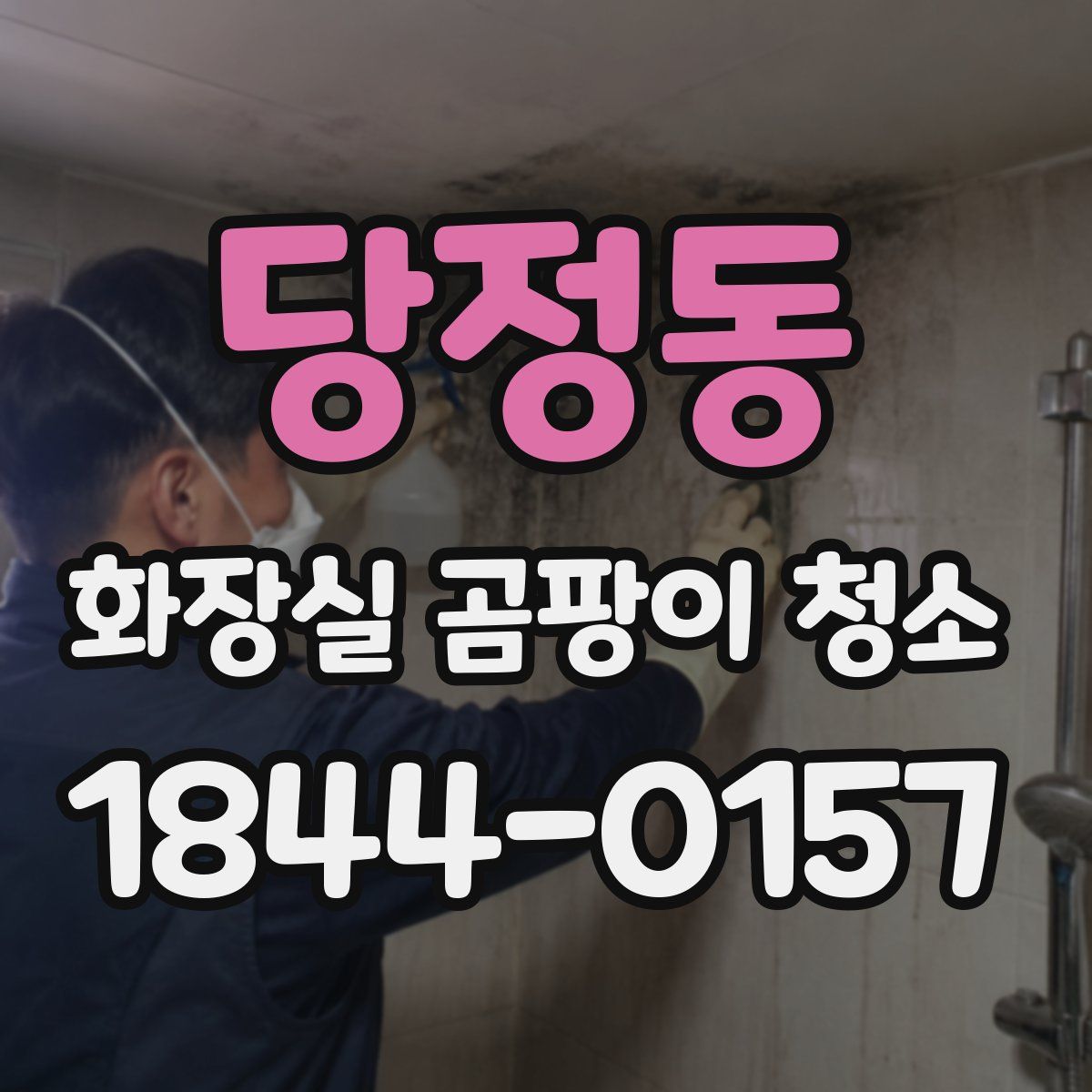 당정동 화장실 곰팡이 청소