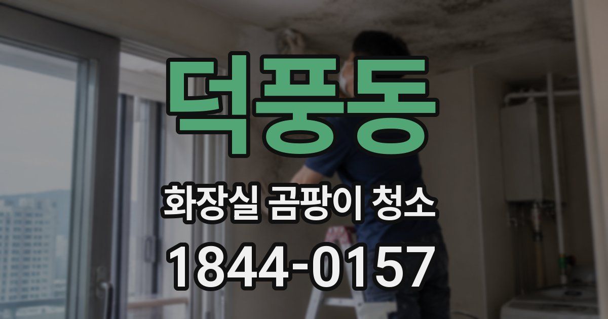 덕풍동 화장실 곰팡이 청소