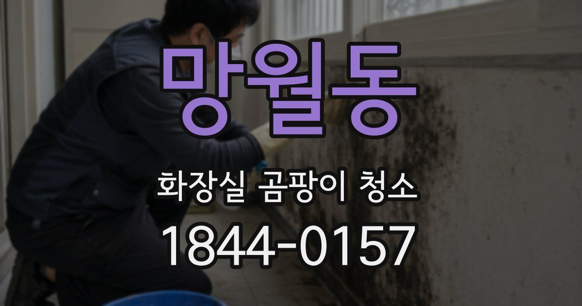 망월동 화장실 곰팡이 청소