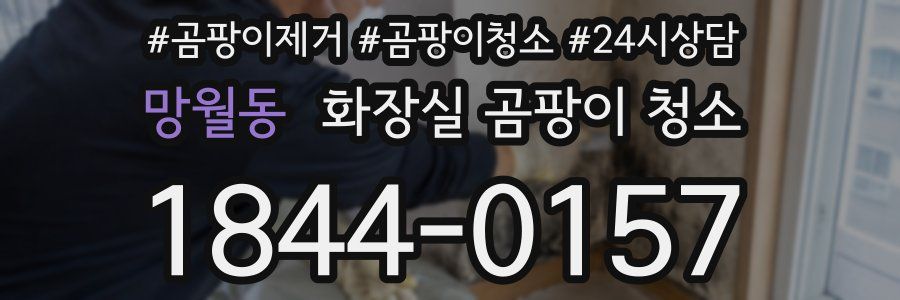 망월동 화장실 곰팡이 청소