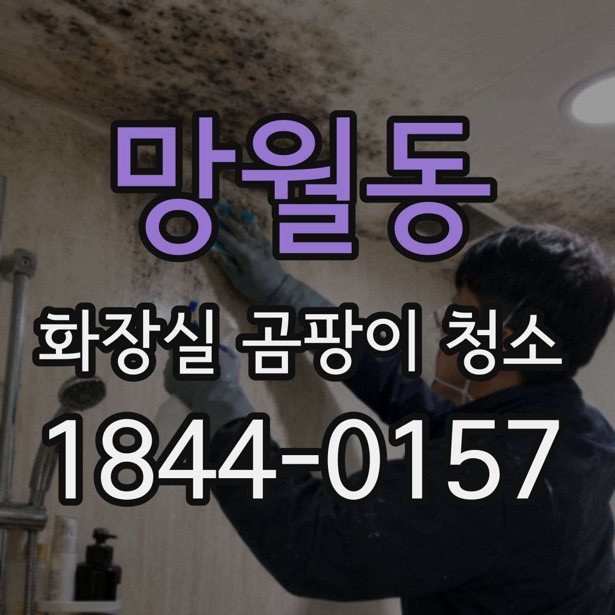 망월동 화장실 곰팡이 청소