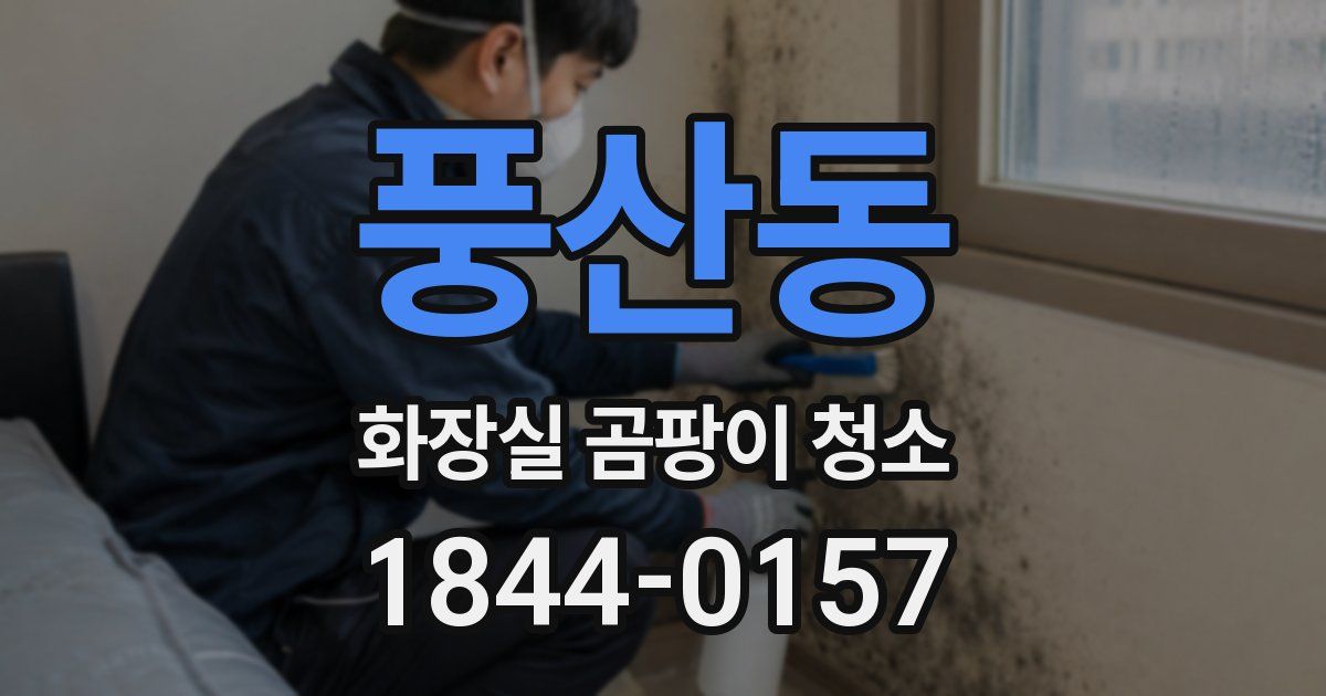 풍산동 화장실 곰팡이 청소