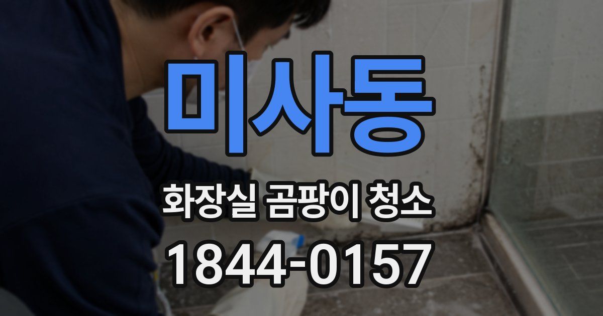 미사동 화장실 곰팡이 청소