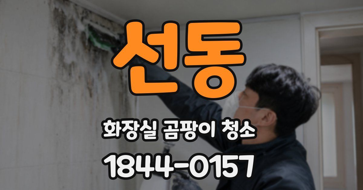 선동 화장실 곰팡이 청소