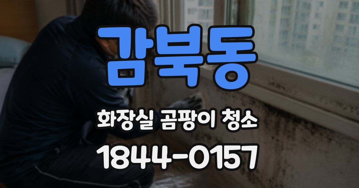 감북동 화장실 곰팡이 청소
