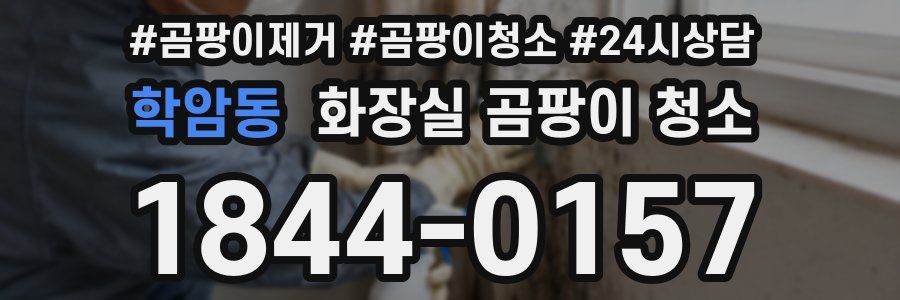 학암동 화장실 곰팡이 청소