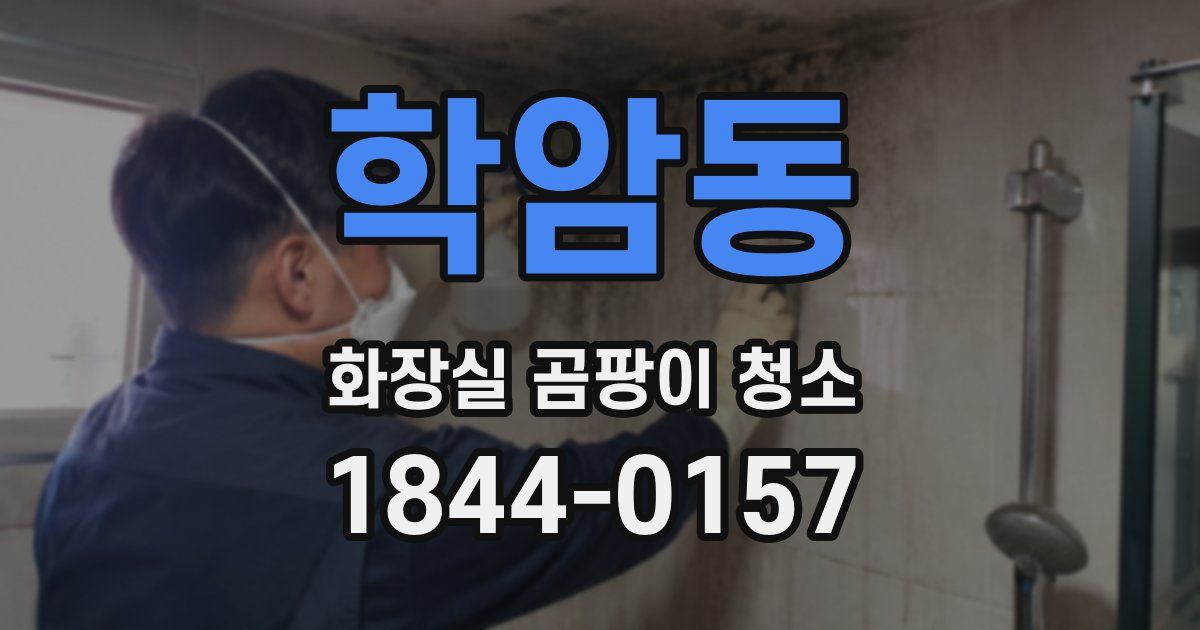 학암동 화장실 곰팡이 청소