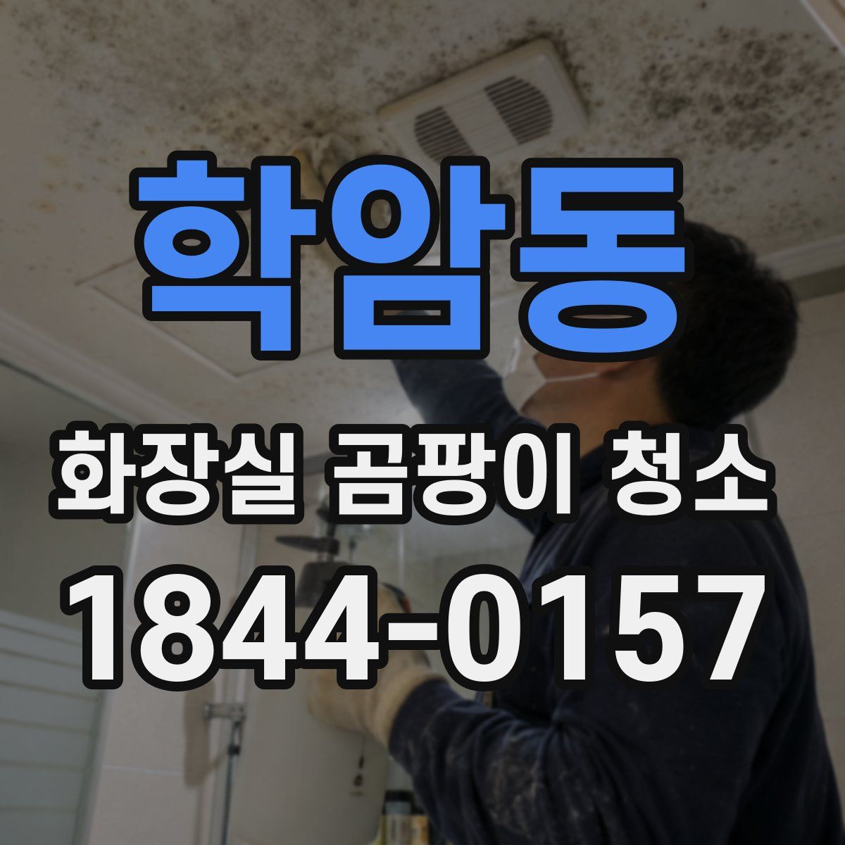 학암동 화장실 곰팡이 청소
