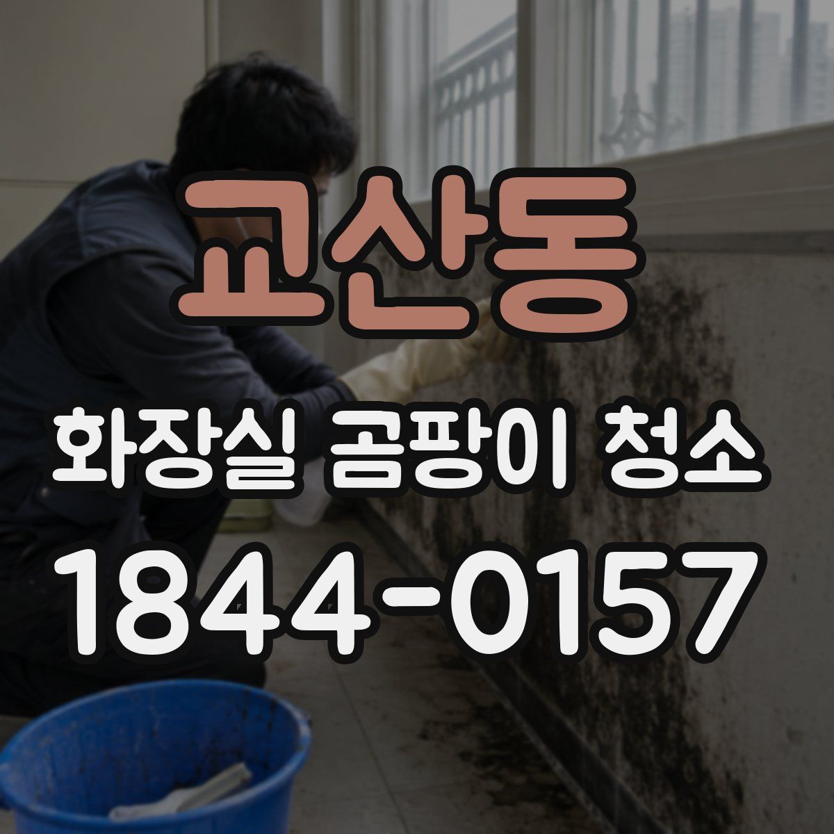 교산동 화장실 곰팡이 청소