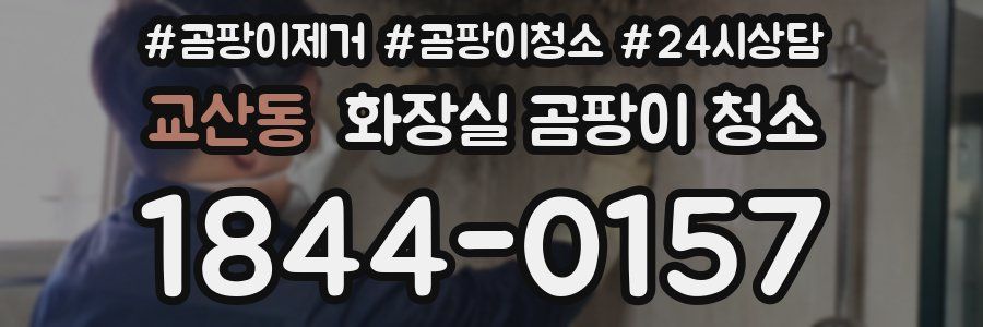 교산동 화장실 곰팡이 청소