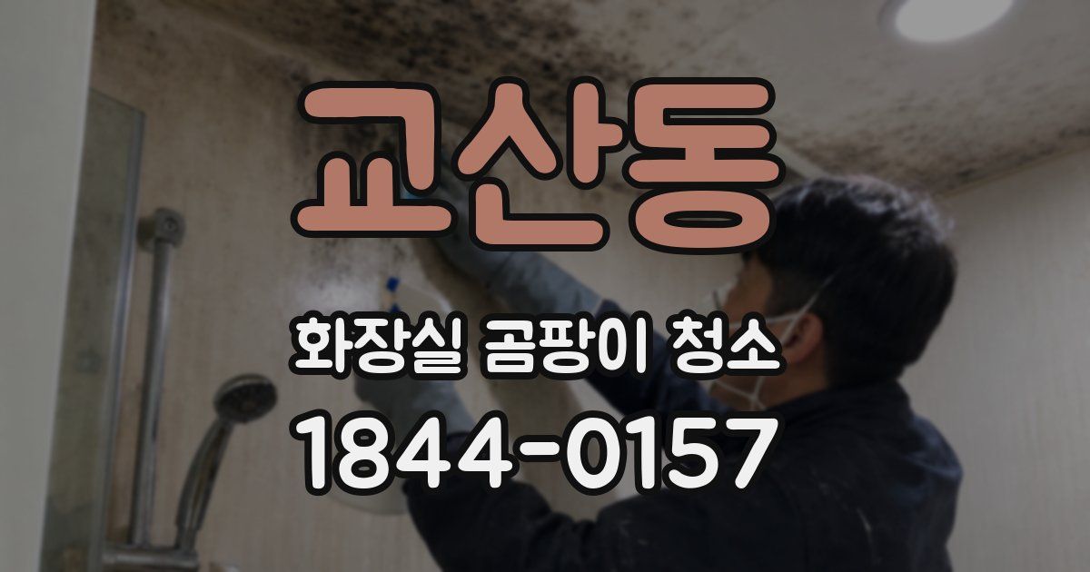 교산동 화장실 곰팡이 청소