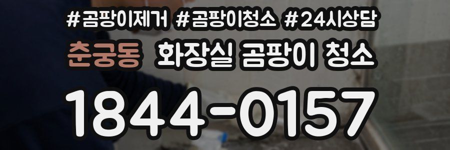 춘궁동 화장실 곰팡이 청소